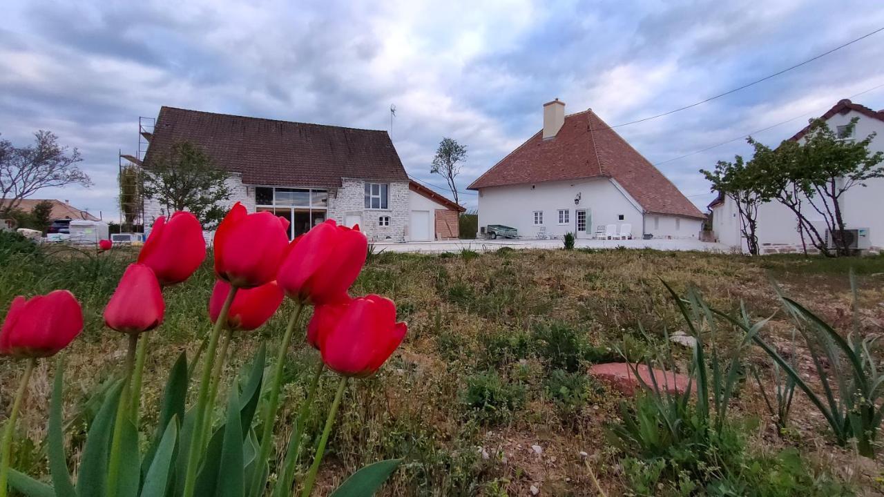 Domaine Ravy-Magnolia Apartman Saint-Symphorien-sur-Saone Kültér fotó